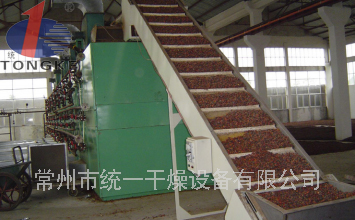 杏子果脯專用干燥機(jī)/干燥設(shè)備裝置